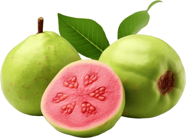 Guava Fruit Powder ingredient representation